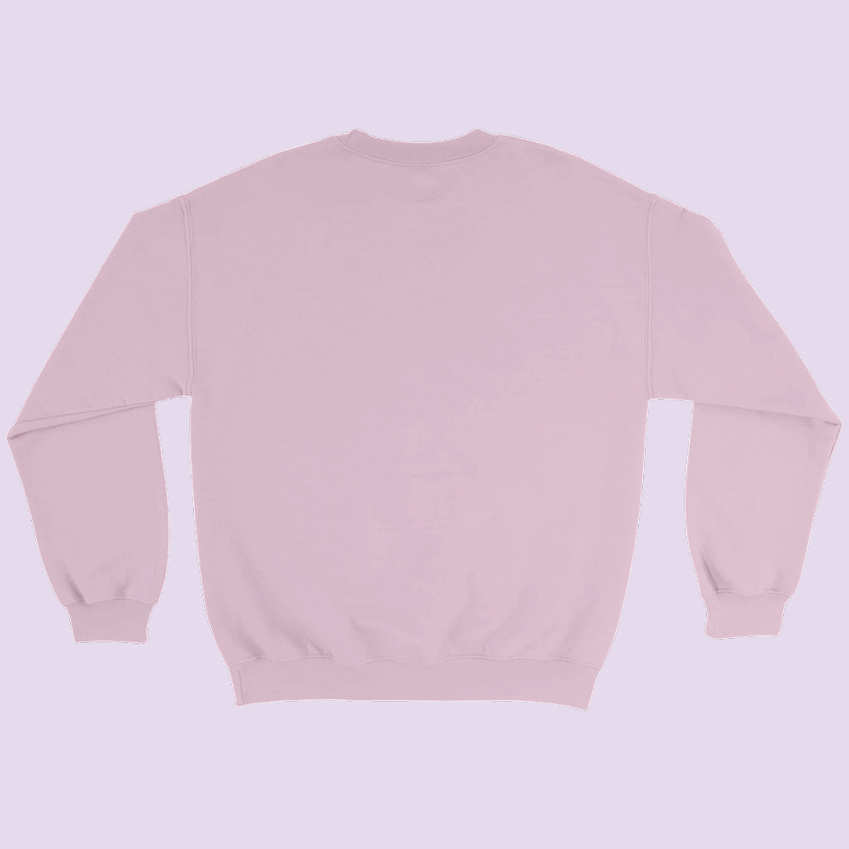 Sweat rose Family Club vu de dos – sweat assorti famille